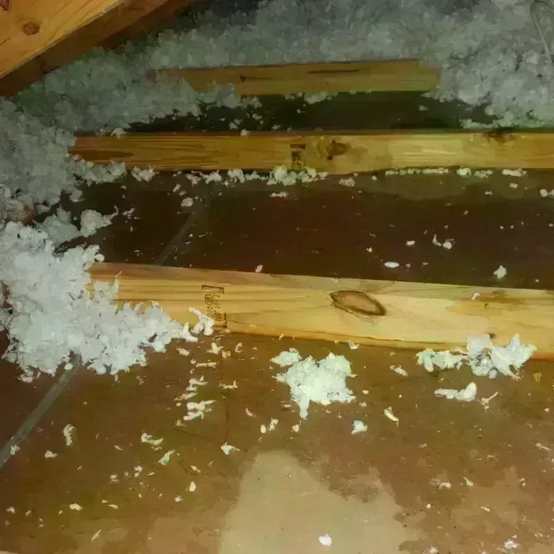 Attic Water Damage in Star Valley Ranch, WY