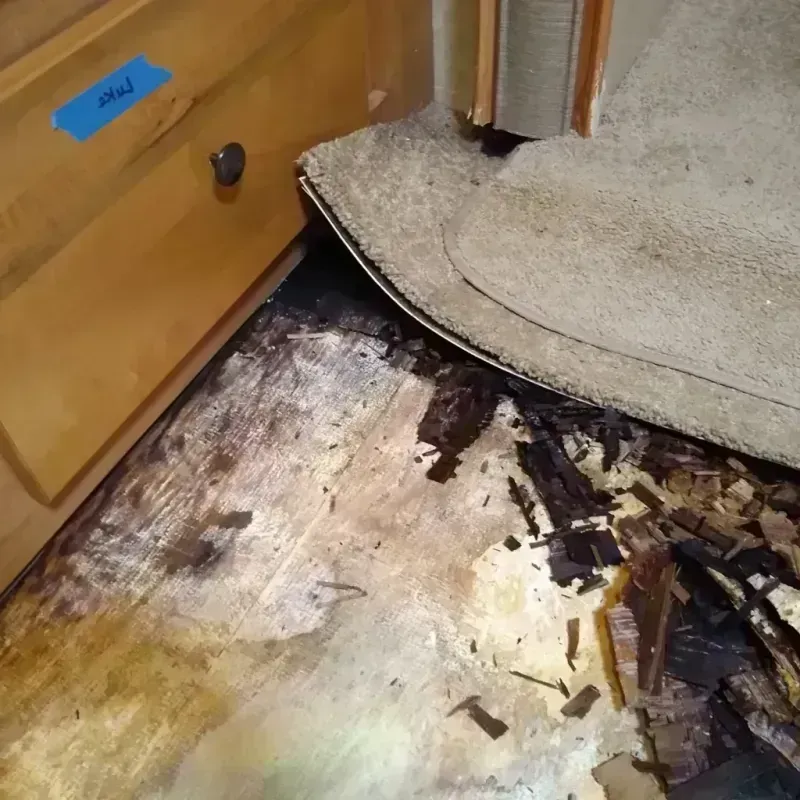 Wood Floor Water Damage in Star Valley Ranch, WY